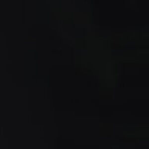 Meet your Posher, Silvio